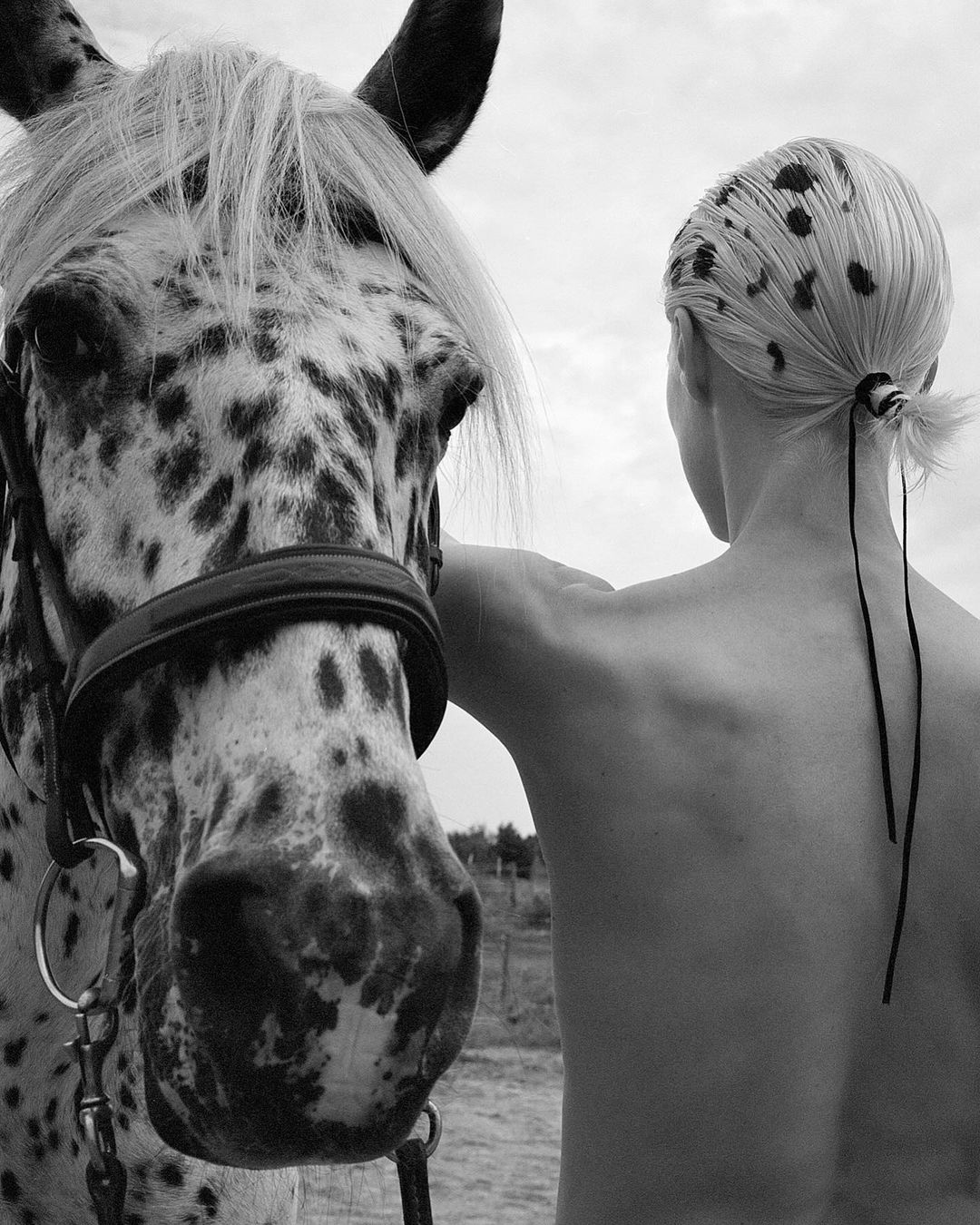Close-up black and white portrait of a horse with a spotted coat and a person with their back turned, creating a simple, artistic composition.