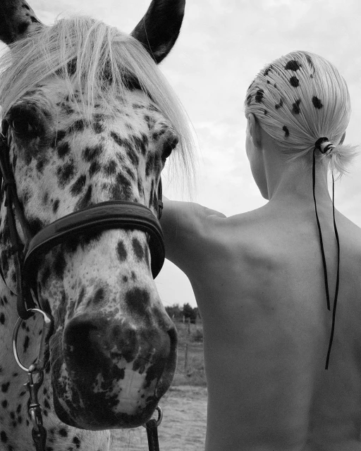 Close-up black and white portrait of a horse with a spotted coat and a person with their back turned, creating a simple, artistic composition.