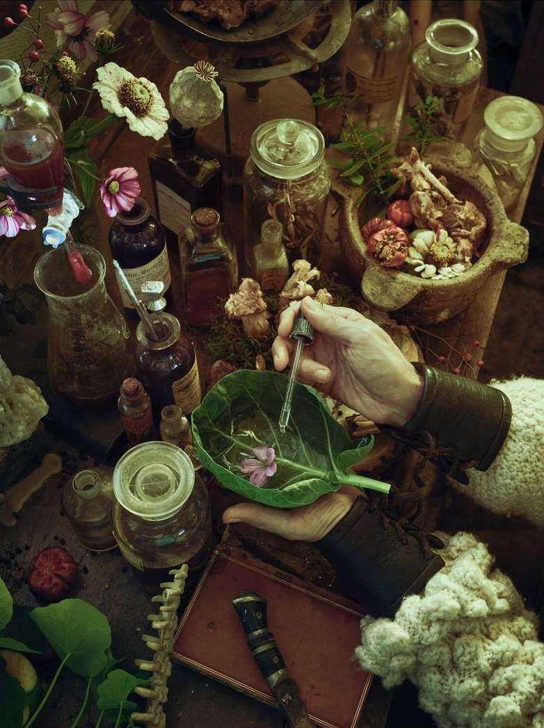 Overhead shot of hands with dropper over large leaf, surrounded by vintage bottles, flowers, bones, and wooden bowls in dim light.