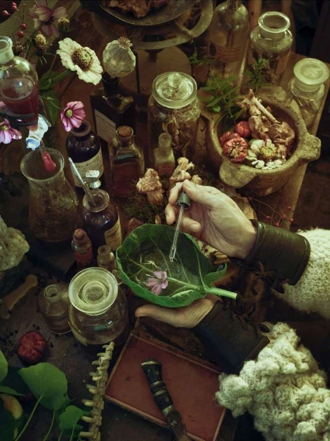 Overhead shot of hands with dropper over large leaf, surrounded by vintage bottles, flowers, bones, and wooden bowls in dim light.