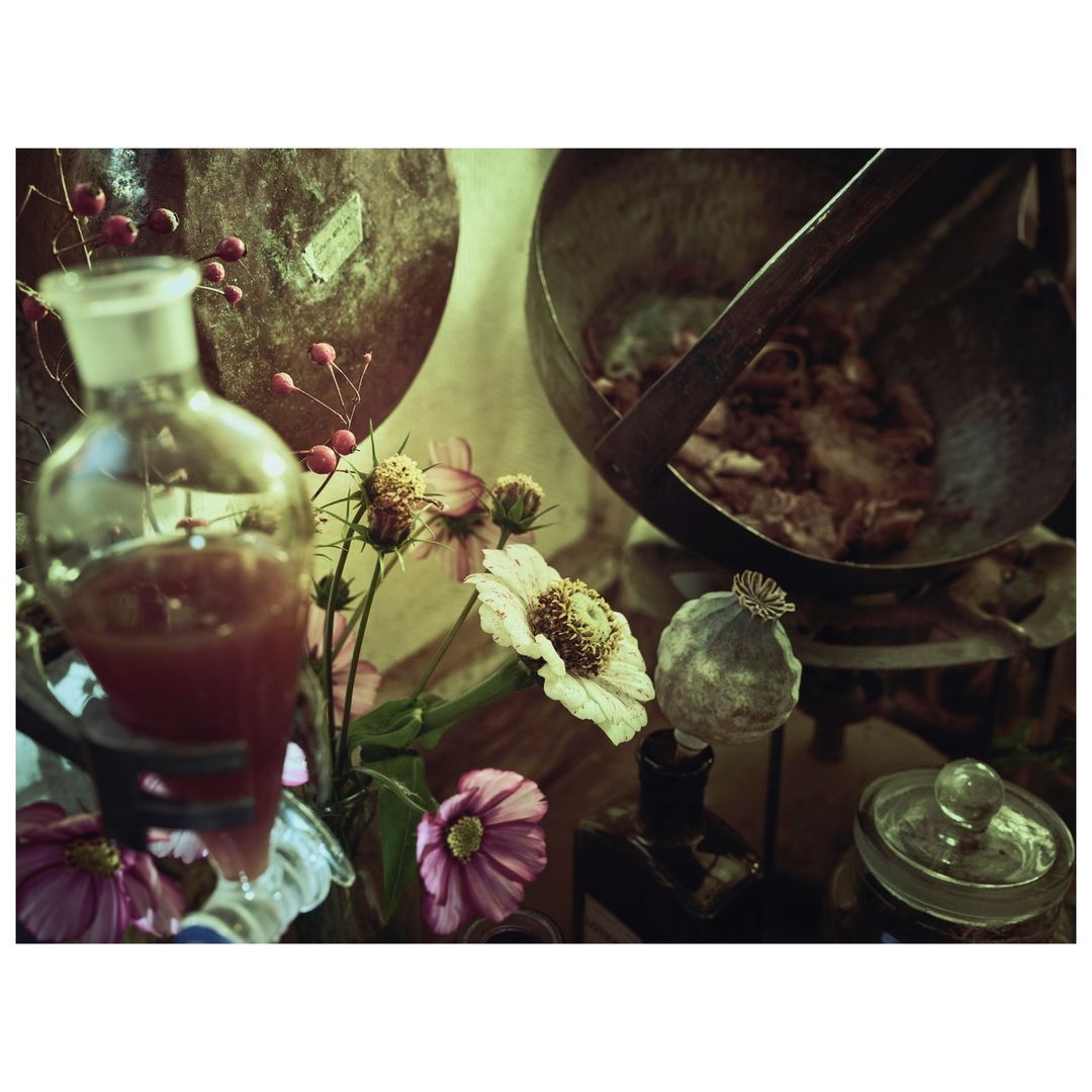 Artistic still life with flowers, scientific glassware with red liquid, large cauldron, and botanical elements on a table.