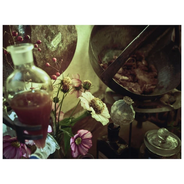 Artistic still life with flowers, scientific glassware with red liquid, large cauldron, and botanical elements on a table.