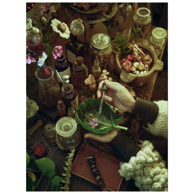 Overhead shot shows hand using dropper over leaf with flower, surrounded by bottles, bones, and other curiosities on a wooden surface.
