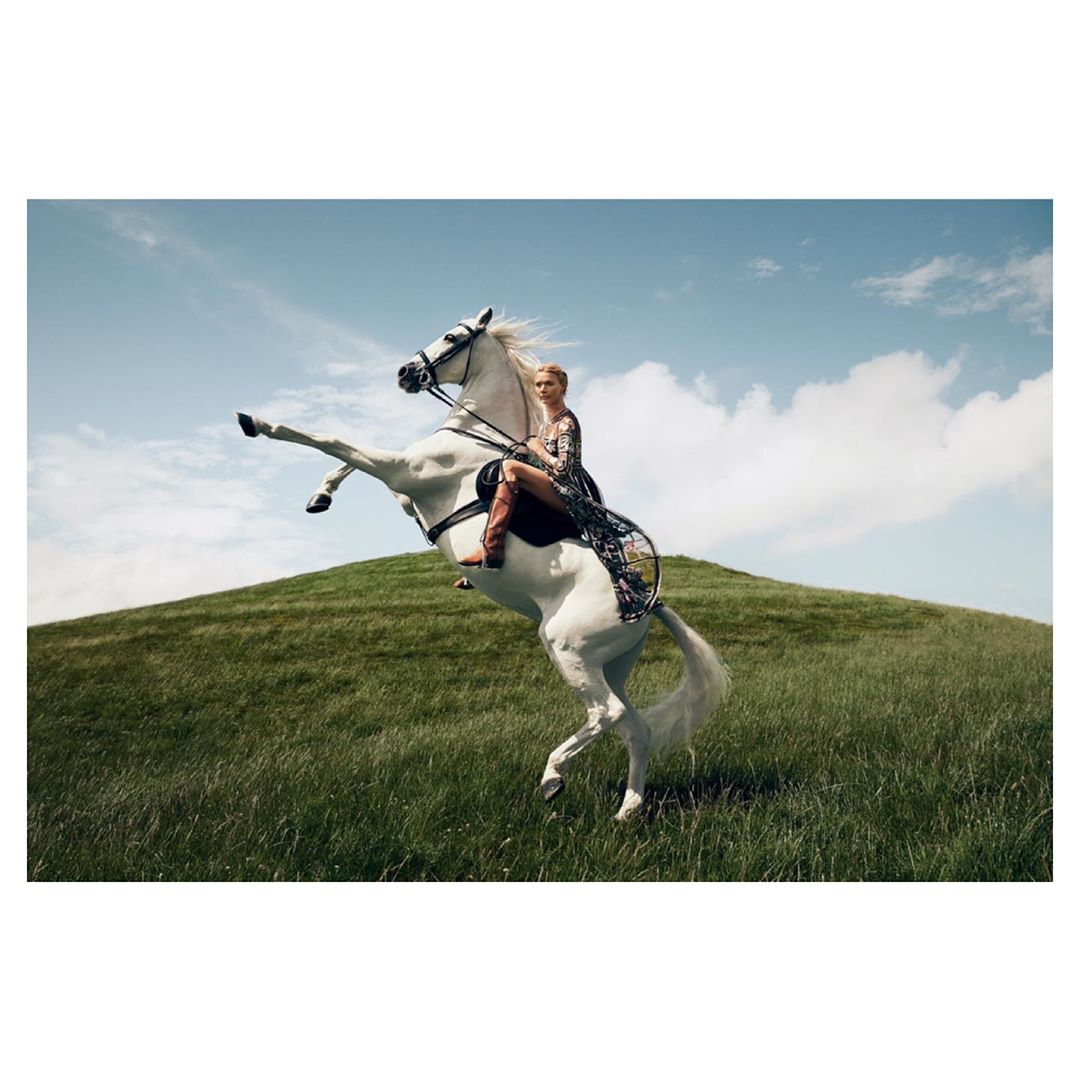 Woman in dress riding a white horse rearing up in a grassy field under a blue sky with wispy clouds. Horseback riding in nature.