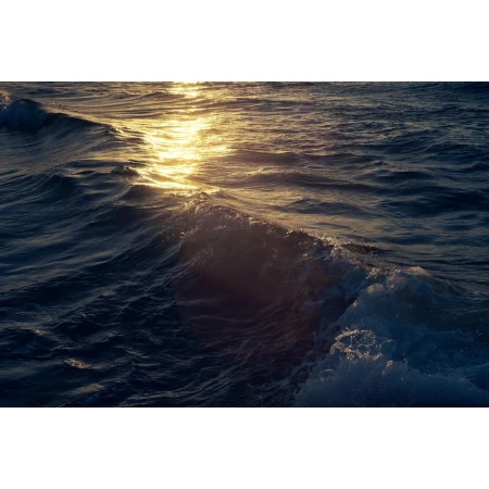 Waves crest and crash in the ocean at sunset, reflecting golden light across the water's surface, creating a serene seascape.