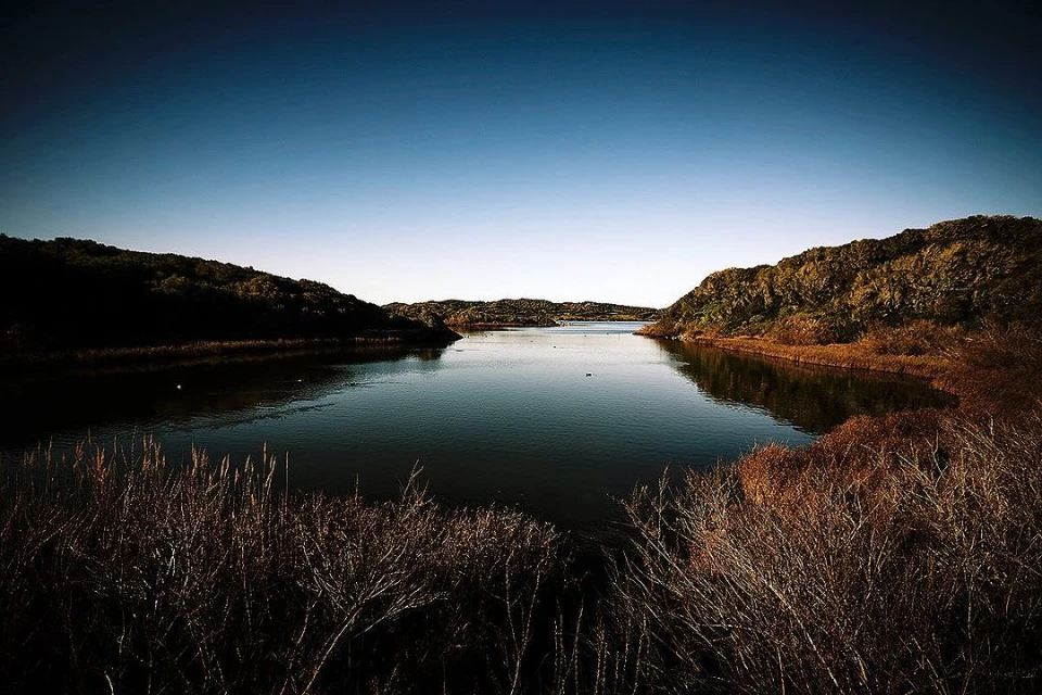 Scenic view of a tranquil lake surrounded by lush greenery and clear blue sky, creating a peaceful and natural landscape.