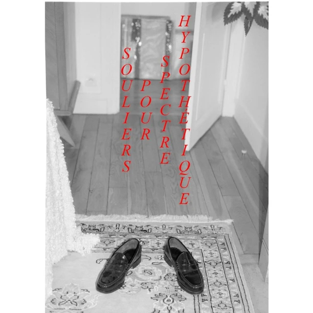 Black and white photo of two loafers on a patterned rug in a hallway with text overlay. Focus on fashion and interior design.