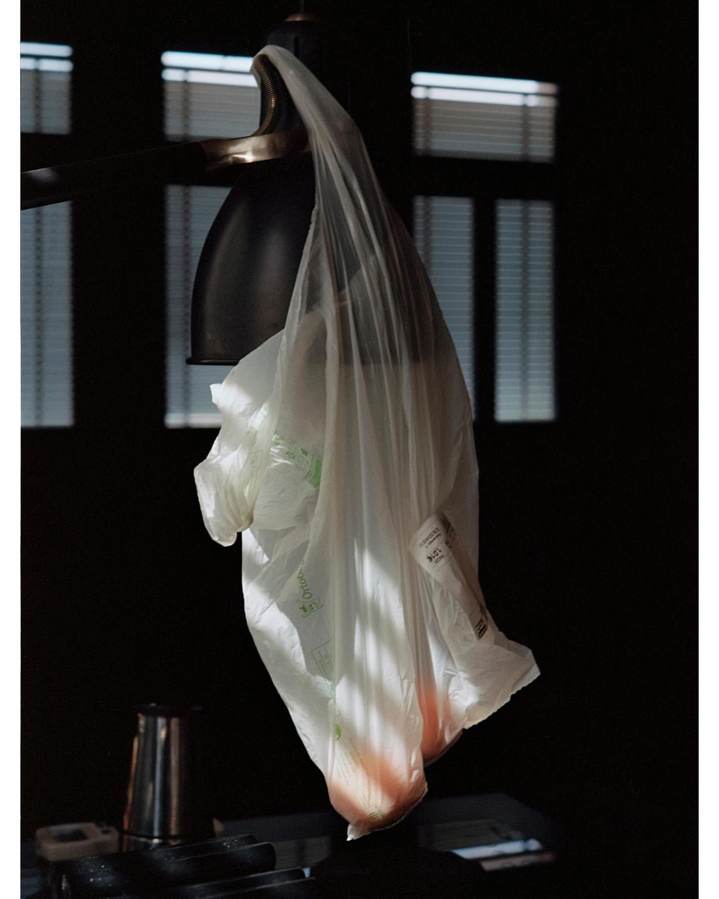 A plastic bag hangs from a light fixture indoors, bathed in partial sunlight, with blinds visible through a window in the background.