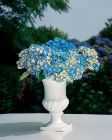 Philippe Billemont