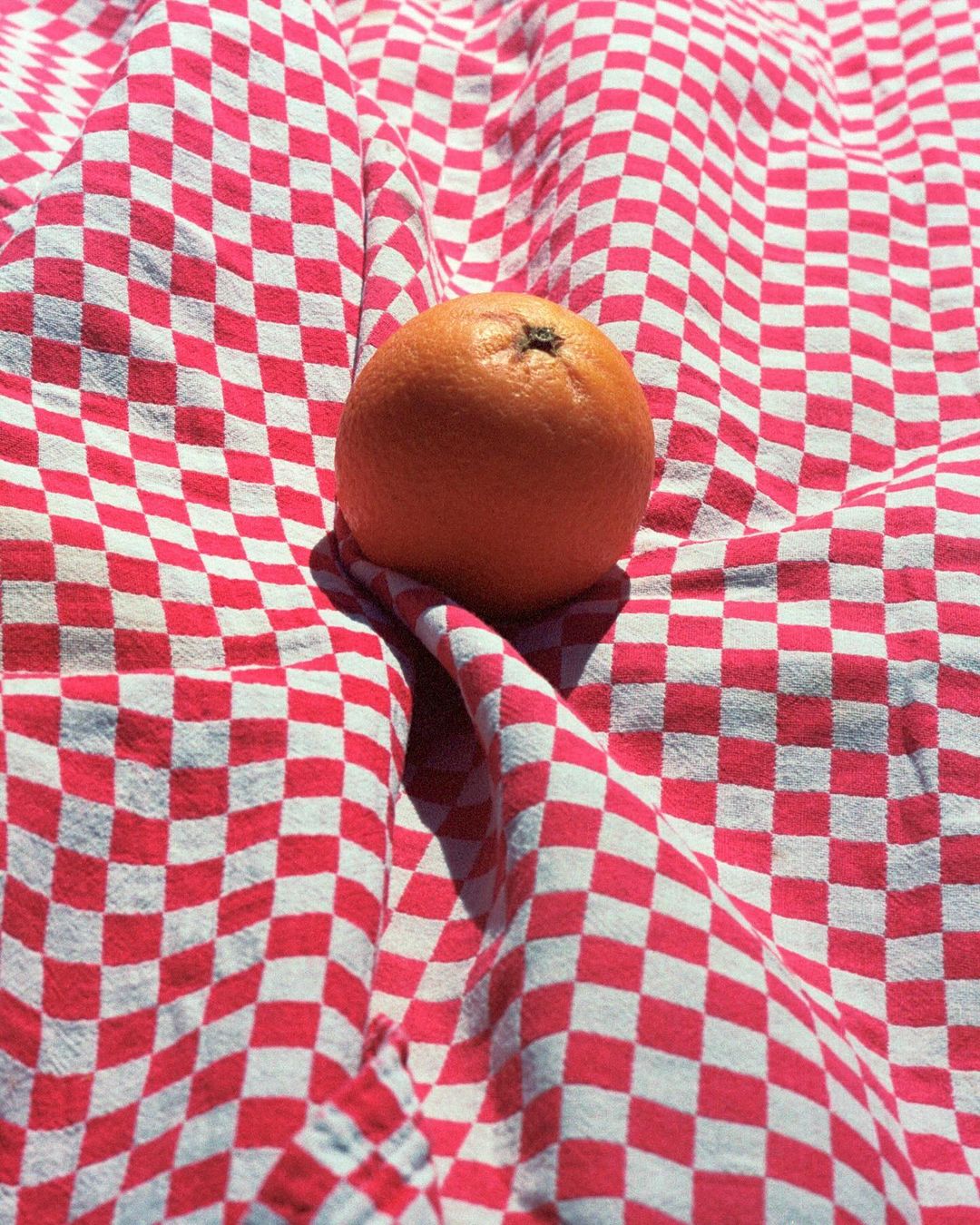 A vibrant tangerine sits atop a red and white checkered fabric, creating a striking contrast of color and pattern in bright daylight.