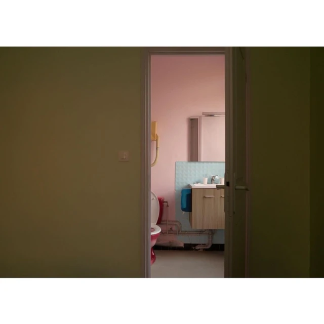 Interior shot of a bathroom visible through a doorway, featuring a sink, mirror, toilet, and green and pink walls with a vintage feel.