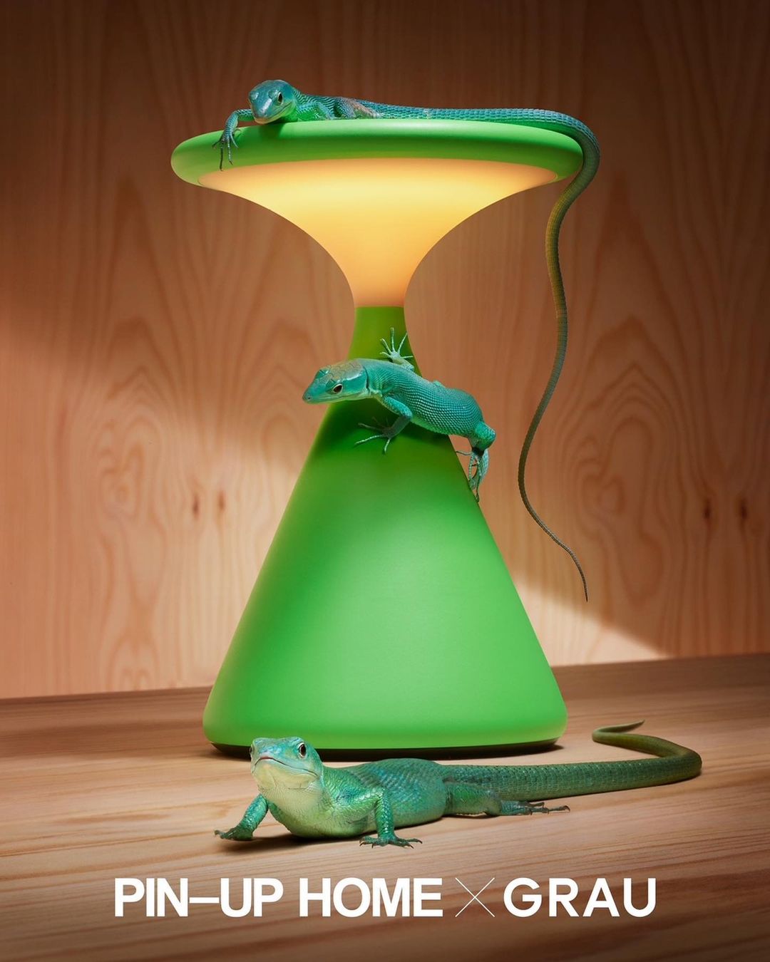 Indoor product shot featuring a green, hourglass-shaped lamp with three green lizards climbing on it against a wooden background.