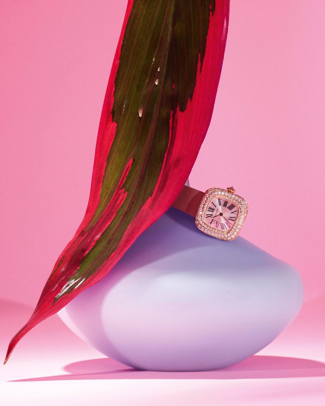 Wristwatch with diamond bezel on a light purple surface beside a red and green leaf against a pink backdrop in a studio shot.