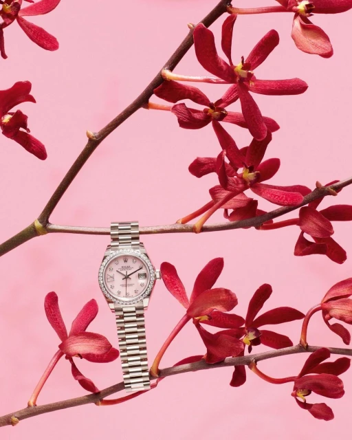 Silver wristwatch with diamond bezel on a branch with dark red orchid flowers against a pink background in a studio setting.