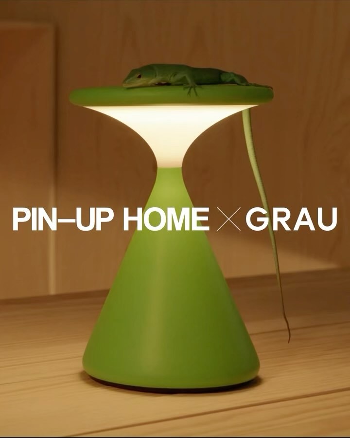 A green table lamp with a lizard on top of it in a well lit room with wood grain visible in the background.