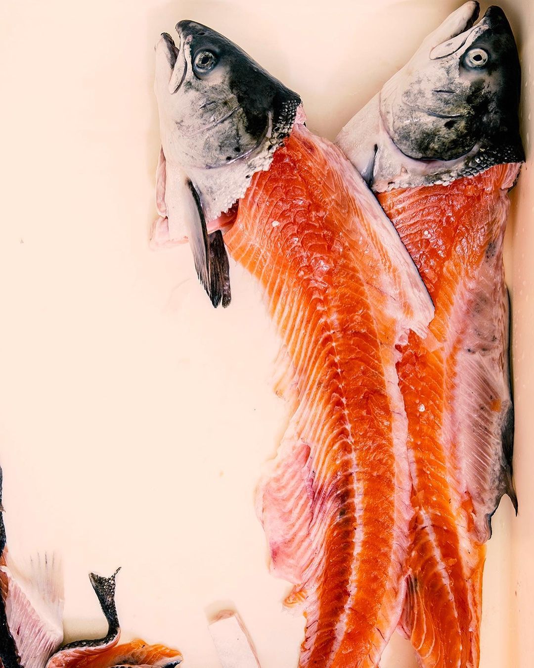 Two halved salmon with heads still attached and vibrant orange flesh, prepared on a white surface for cooking and serving as seafood.