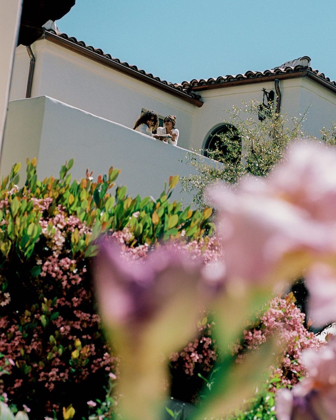 Two children stand on a sunlit balcony of a white building under a clear blue sky, framed by greenery and pink flowers in the foreground.