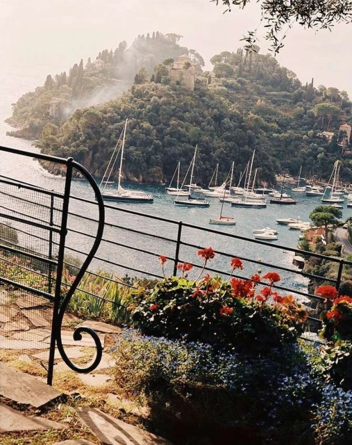 Scenic view of sailboats on the water, lush island with trees and architecture, flowers in foreground, and iron fence detail.