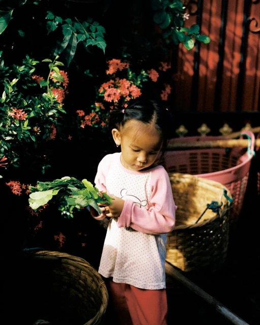 A young child stands near a basket, holding green leafy vegetables, with a bush with coral colored flowers in the background.