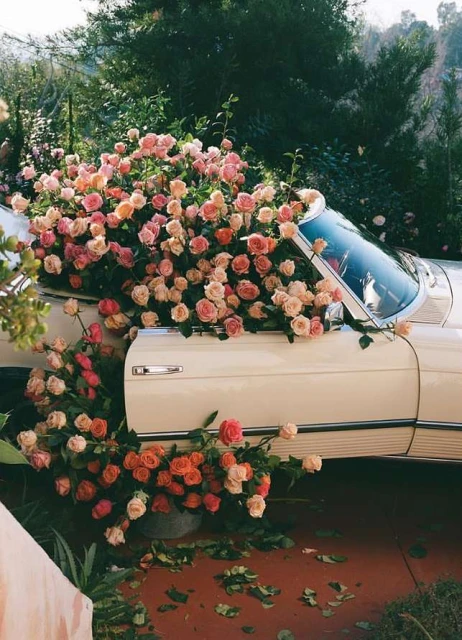 Classic convertible car overflowing with a vibrant display of peach and pink roses, set outdoors surrounded by lush greenery.