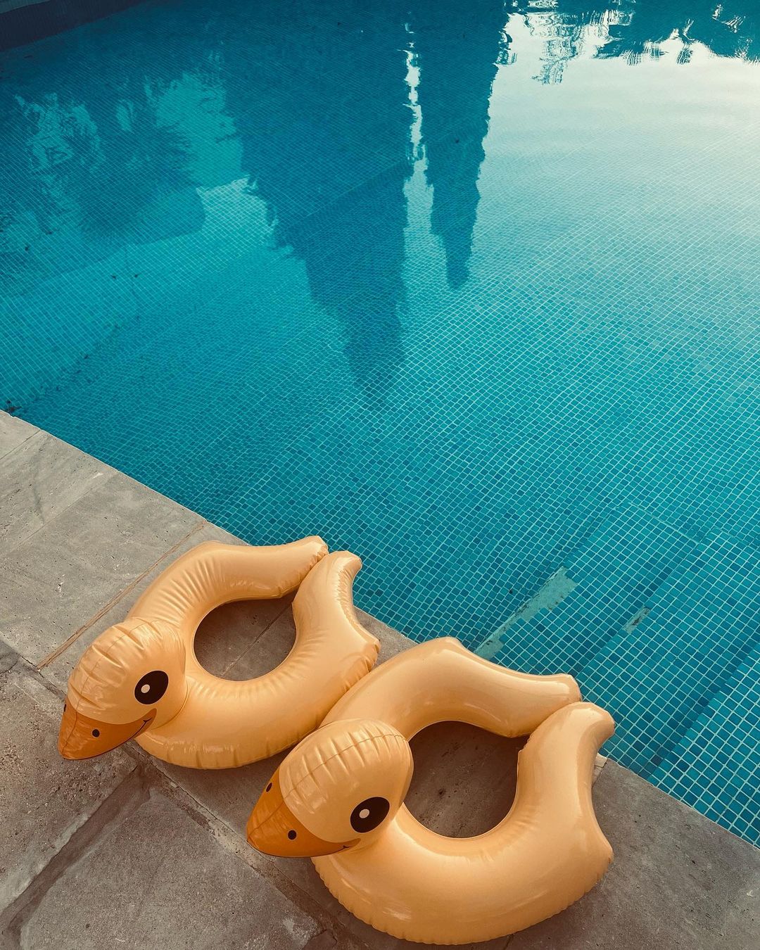Two yellow inflatable duck pool floats sit on a concrete pool edge next to a blue tiled pool with reflected trees on the water.