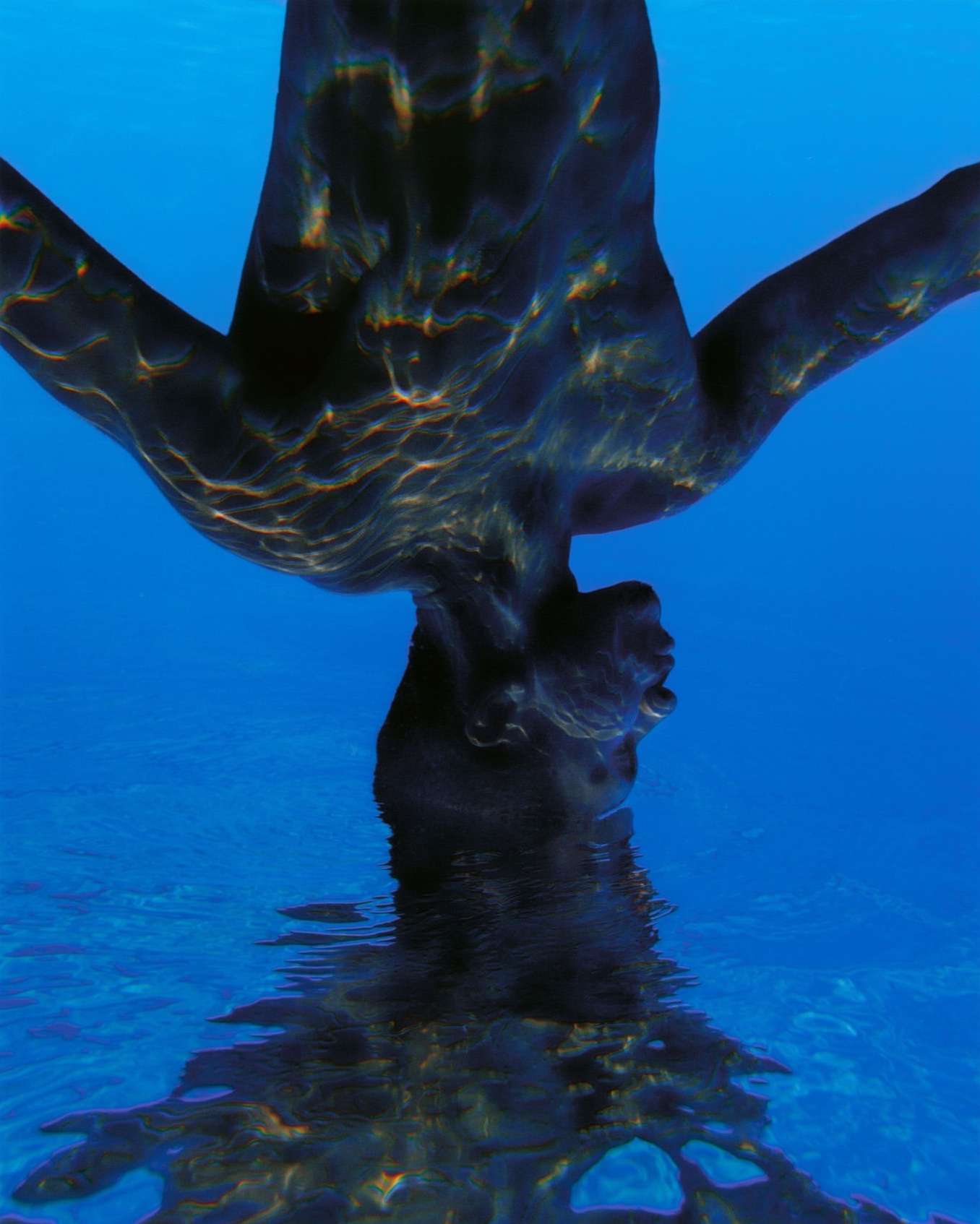 An abstract art piece with a human figure in dark tones underwater creating a mirrored reflection effect against a bright blue background.