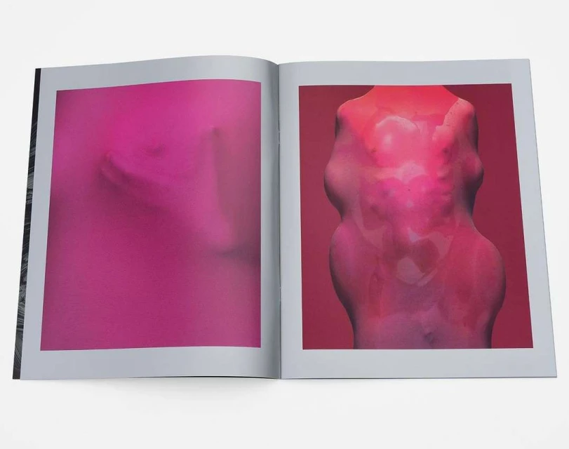 Open book displaying two pages of vibrant abstract figurative art in pink and red tones, presented in an indoor setting.
