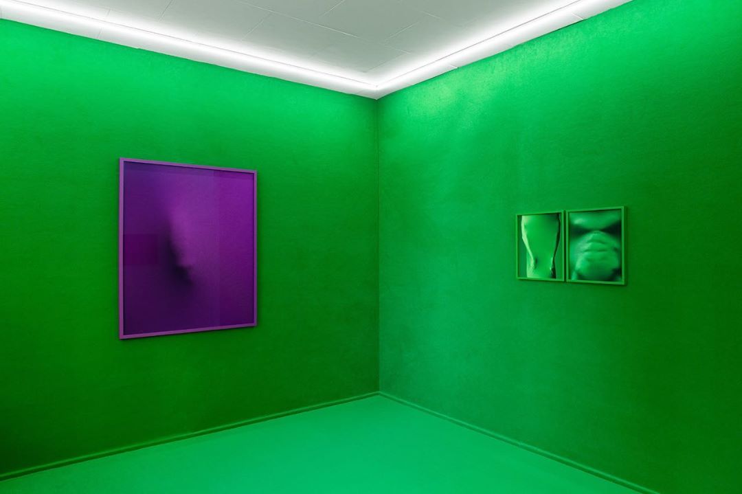 Minimalist art exhibition features green walls with a purple square painting and green framed portraits under linear ceiling lights.