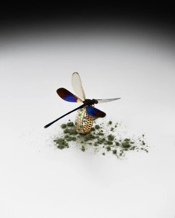 Close-up of a golden ring with emeralds, featuring a dragonfly ornament with blue and brown wings, set against a white backdrop.