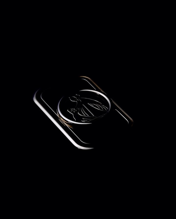 Shiny metal belt buckle with an insect emblem in a close-up shot against a dark background, accentuating the buckle's design.