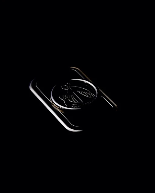 Shiny metal belt buckle with an insect emblem in a close-up shot against a dark background, accentuating the buckle's design.