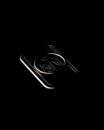 Shiny metal belt buckle with an insect emblem in a close-up shot against a dark background, accentuating the buckle's design.