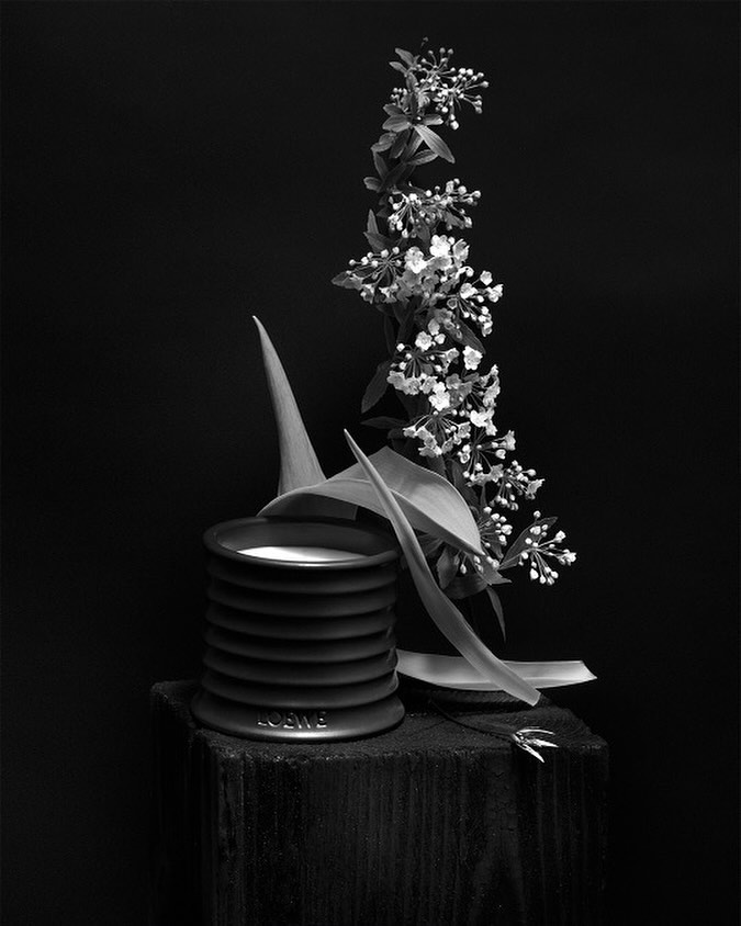 Monochrome still life of a Loewe candle on a wooden block, complemented by delicate flowering branches and leaves against a dark background.