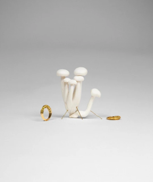 Still life photography featuring a cluster of white enoki mushrooms presented with minimalistic gold rings against a solid grey background.