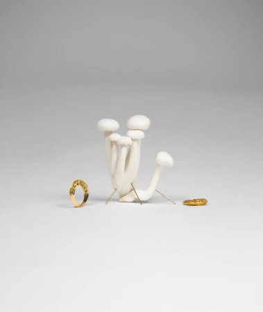 Still life photography featuring a cluster of white enoki mushrooms presented with minimalistic gold rings against a solid grey background.