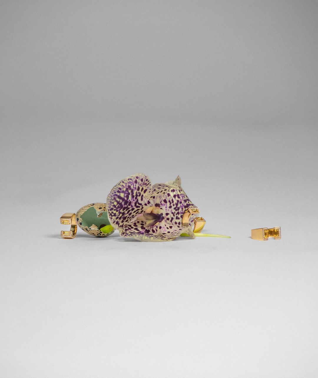 Close-up studio shot of gold geometric jewelry alongside a spotted orchid on a white background.
