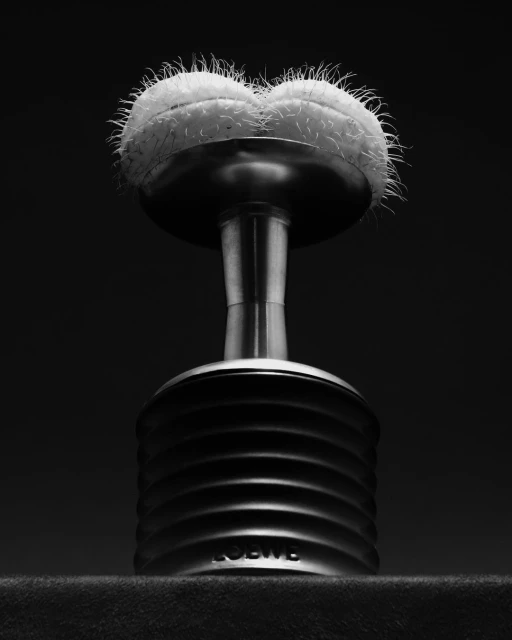 Monochrome still life of a Loewe perfume bottle topped with a cactus, set against a dark background, creating a dramatic studio product shot.