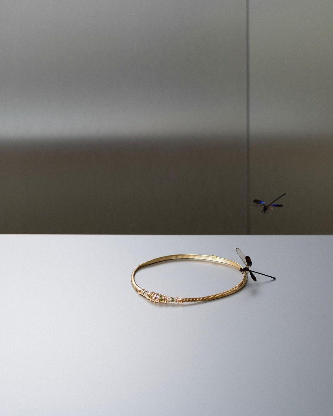 Gold necklace on a reflective surface with dragonfly perched on the side and another dragonfly mid-air against a grey background.