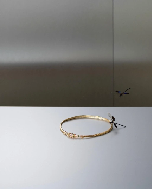 Gold necklace on a reflective surface with dragonfly perched on the side and another dragonfly mid-air against a grey background.