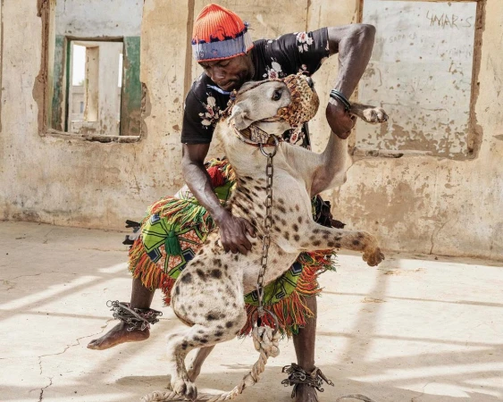 A man holds a hyena with a muzzle inside a decaying building, showcasing a unique human-animal interaction in a weathered, neutral-toned environment.