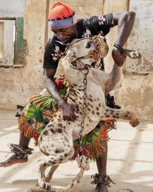 An adult male in traditional dress embraces a hyena wearing a muzzle and collar with chains, set against a distressed building backdrop.