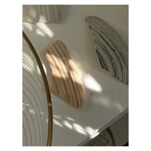 Still life of several seashells with distinct striped patterns, arranged on a white surface with shadows and a gold, wire circular object.