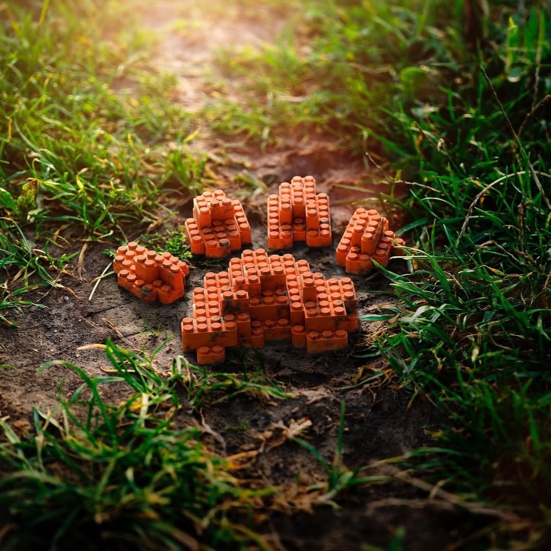 Orange building blocks arranged to resemble a paw print on a dirt path, surrounded by green grass and soft sunlight.