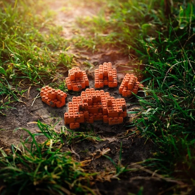 Orange building blocks arranged to resemble a paw print on a dirt path, surrounded by green grass and soft sunlight.