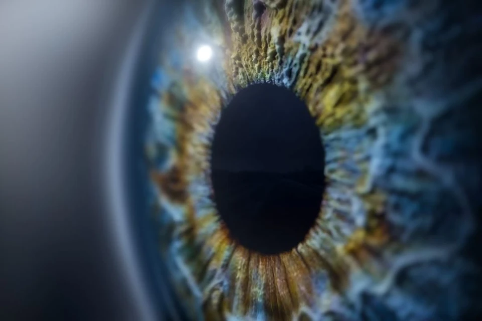 Macro photograph of a human eye featuring a black pupil, blue and brown iris, and a specular highlight creating a sparkle effect.