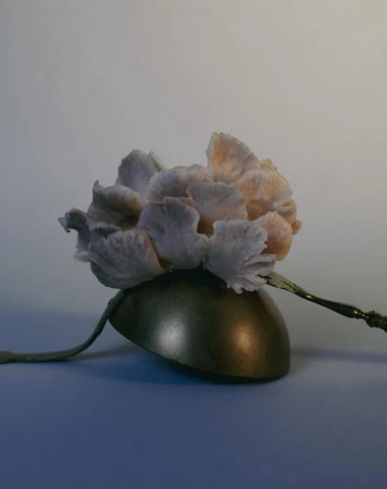 Plusia Roms