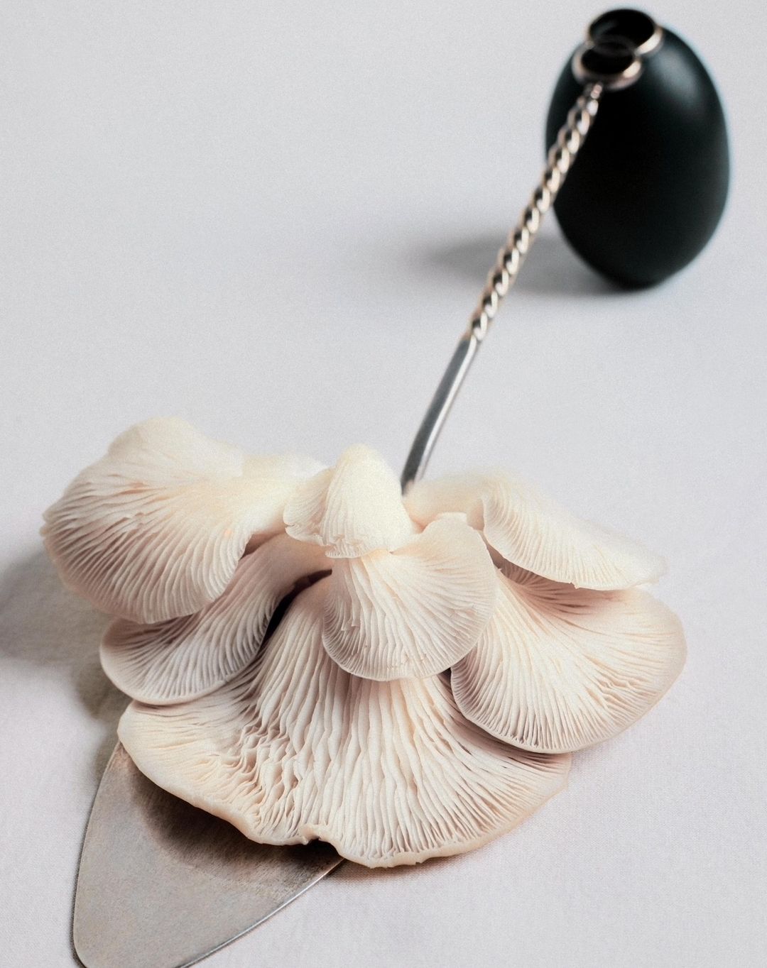 Oyster mushrooms arranged on a silver serving spatula against a pale background, topped by a dark matte egg and metal ornament.