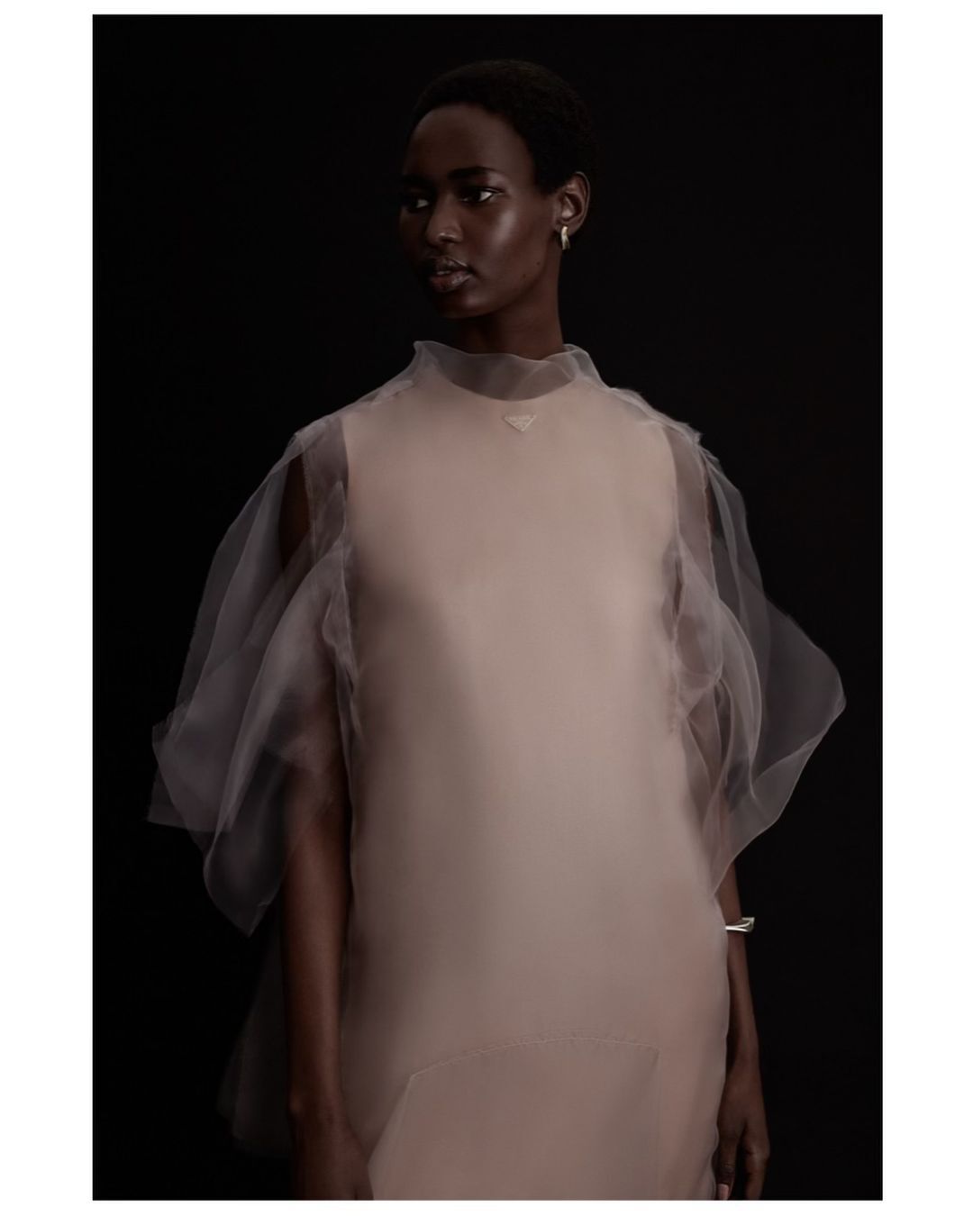 Elegant portrait of a Black woman wearing a light pink dress with sheer overlay against a dark background in a studio setting.