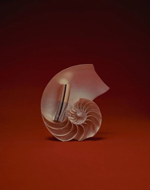 Product shot featuring makeup in a nautilus shell with an orange and red background, emphasizing luxury and beauty product presentation.