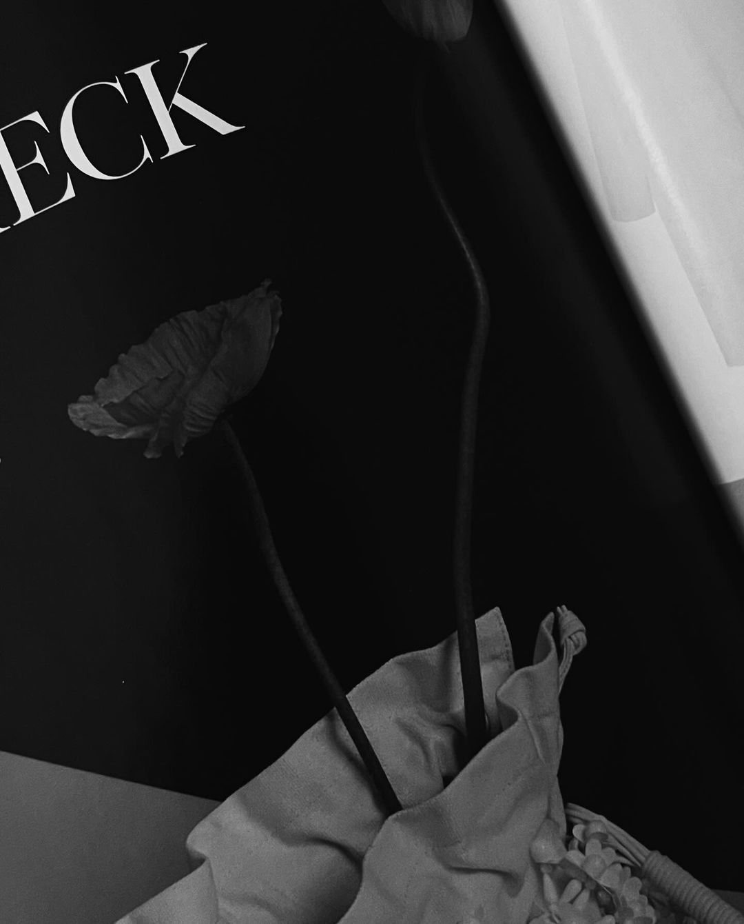 Black and white still life of two poppy flowers in a vase in front of an open magazine with bold white text.